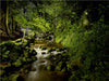 Im Licht der Nacht - Baden Baden Geroldsau - CALVENDO Foto-Puzzle - calvendoverlag 39.99