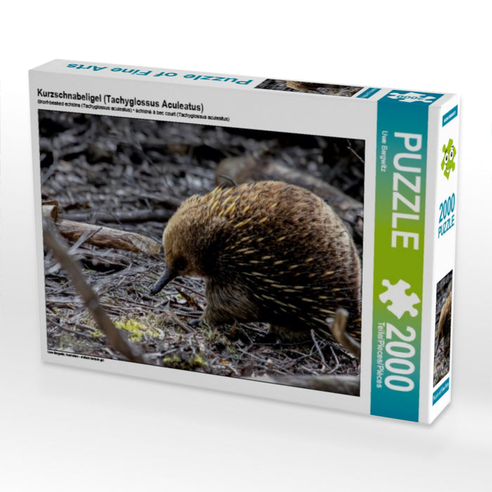 Kurzschnabeligel (Tachyglossus Aculeatus) - CALVENDO Foto-Puzzle - calvendoverlag 39.99