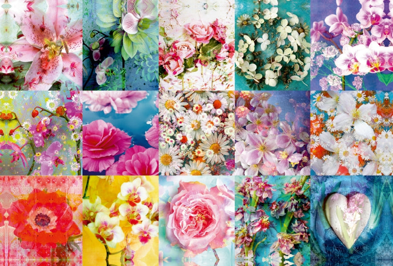 Premium Textil-Leinwand Premium Textil-Leinwand 120 cm x 80 cm quer Ein Bild aus dem Kalender Leidenschaftliche Blumen