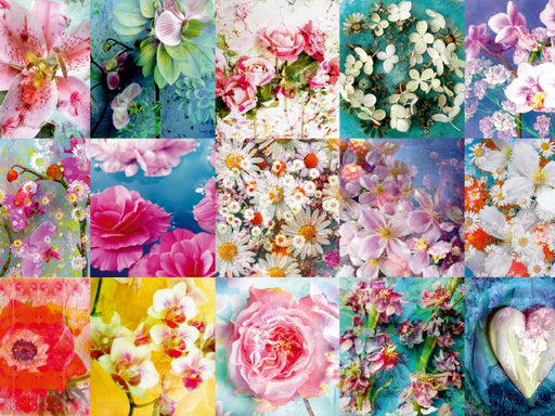 Ein Bild aus dem Kalender Leidenschaftliche Blumen - CALVENDO Foto-Puzzle - calvendoverlag 29.99
