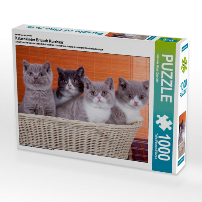 Katzenkinder Britisch Kurzhaar - CALVENDO Foto-Puzzle - calvendoverlag 29.99