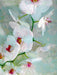 Weiß Blaue Orchidee - CALVENDO Foto-Puzzle - calvendoverlag 29.99