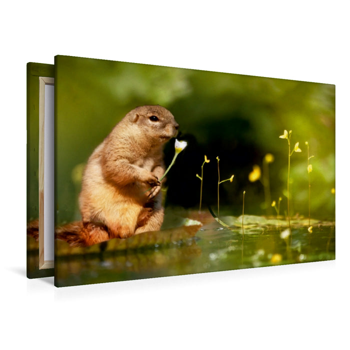 Premium Textil-Leinwand Premium Textil-Leinwand 120 cm x 80 cm quer Ein Eichhörnchen beim Blumenpflücken