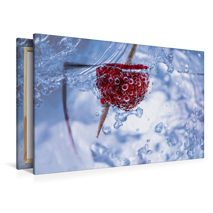 Premium Textil-Leinwand Premium Textil-Leinwand 120 cm x 80 cm quer Himbeere im Wasserglas