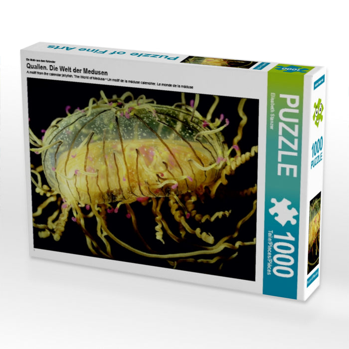 Quallen. Die Welt der Medusen - CALVENDO Foto-Puzzle - calvendoverlag 29.99