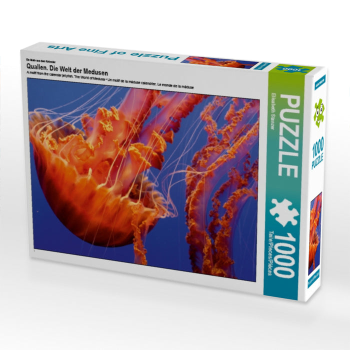 Quallen. Die Welt der Medusen - CALVENDO Foto-Puzzle - calvendoverlag 29.99