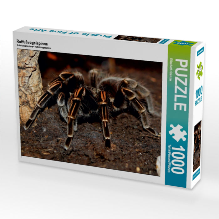 Rotfußvogelspinne - CALVENDO Foto-Puzzle - calvendoverlag 29.99