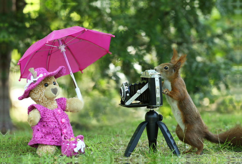 Premium Textil-Leinwand Premium Textil-Leinwand 120 cm x 80 cm quer Fotoshooting mit Tante Gretchen.