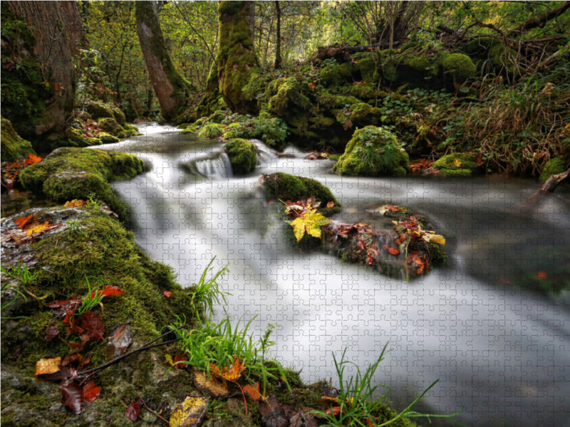 Der Brühlbach bahnt sich seinen Weg - CALVENDO Foto-Puzzle - calvendoverlag 39.99