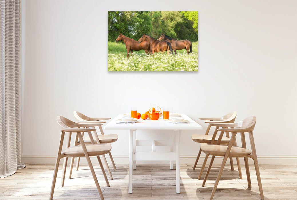 Premium textile canvas Premium textile canvas 120 cm x 80 cm landscape A motif from the calendar Horses in the Green 