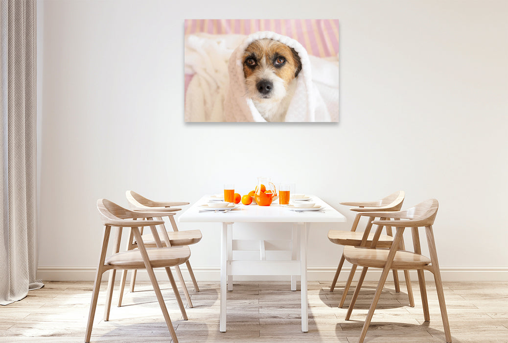 Premium Textil-Leinwand Premium Textil-Leinwand 120 cm x 80 cm quer Ein Motiv aus dem Kalender Kleine Hundeauszeiten auf Terrierart!