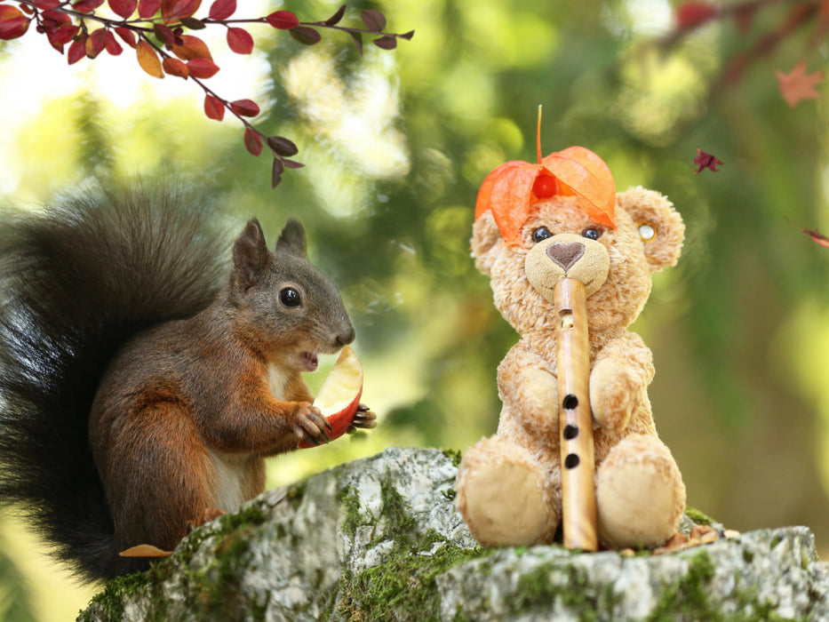 Eichhörnchen und Freund Teddy im Herbst. - CALVENDO Foto-Puzzle - calvendoverlag 29.99