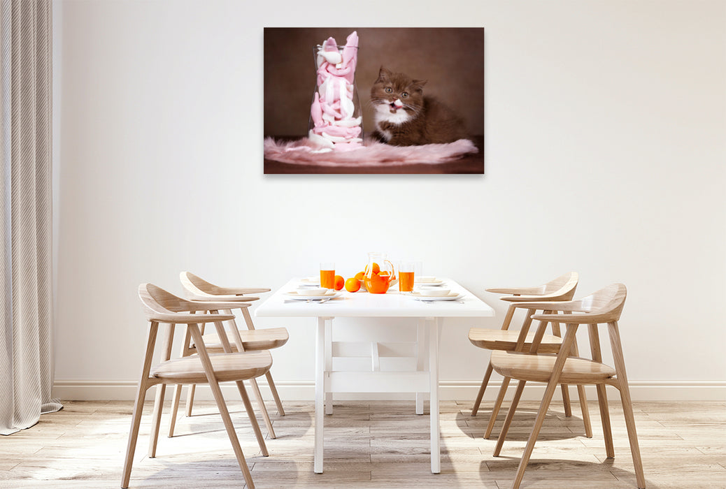 Premium textile canvas Premium textile canvas 120 cm x 80 cm across A motif from the Cats calendar - the calendar for every cat lover 