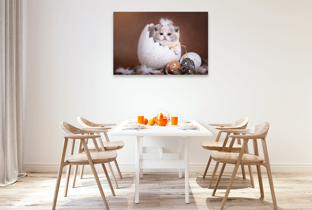 Premium textile canvas Premium textile canvas 120 cm x 80 cm across As if it were peeled _ Kitten sits in the Easter egg 