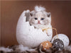 Wie aus dem Ei gepellt _ Kitten sitzt im Osterei - CALVENDO Foto-Puzzle - calvendoverlag 29.99