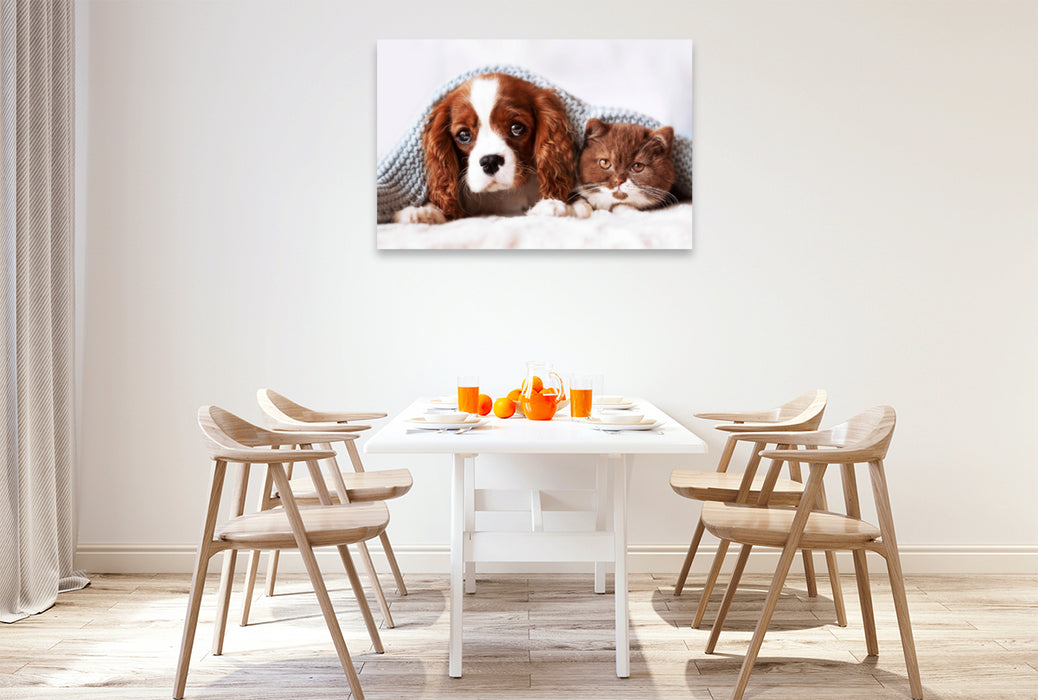 Premium textile canvas Premium textile canvas 120 cm x 80 cm landscape Best Friends - BKH kitten and Cavalier King Charles Spaniel puppy 