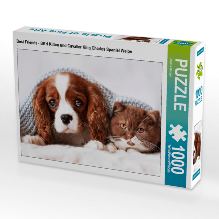 Best Friends - BKH Kitten und Cavalier King Charles Spaniel Welpe - CALVENDO Foto-Puzzle - calvendoverlag 29.99