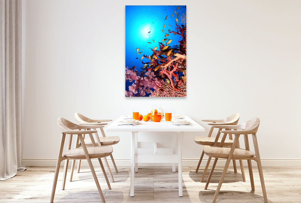 Premium textile canvas Premium textile canvas 80 cm x 120 cm high coral reef paradise 