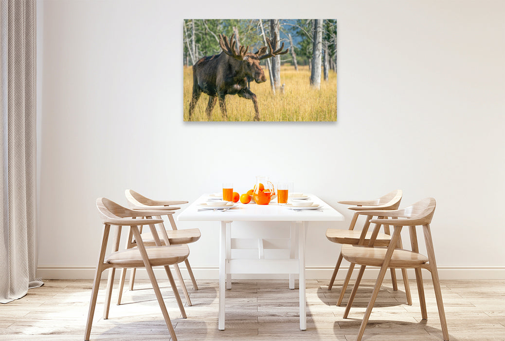 Premium textile canvas Premium textile canvas 120 cm x 80 cm landscape The star among Alaska's wild animals 