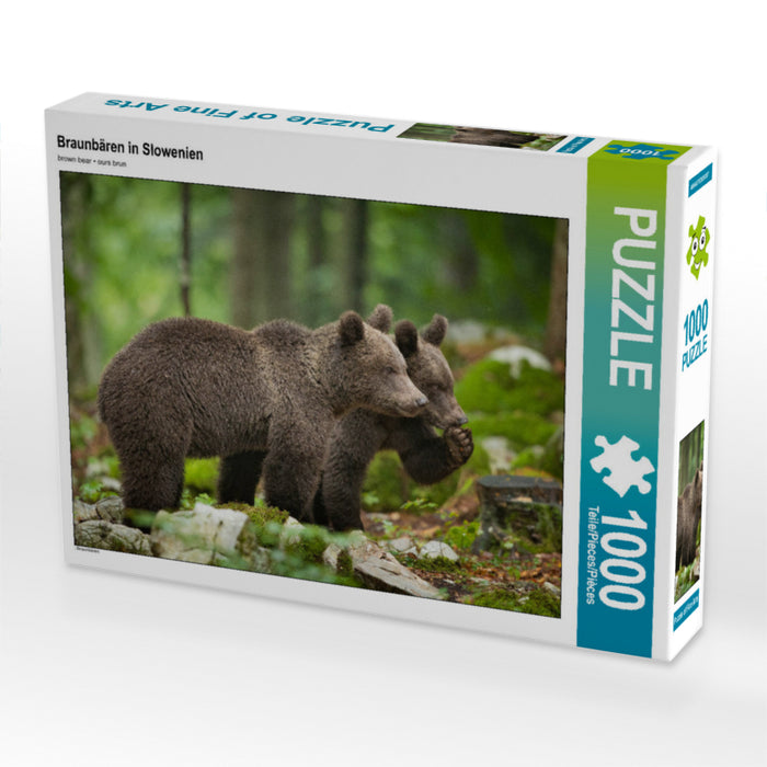 Braunbären in Slowenien - CALVENDO Foto-Puzzle