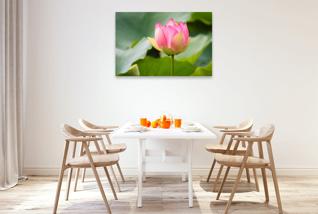 Premium textile canvas Premium textile canvas 120 cm x 80 cm landscape lotus flower 