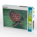 Große Schildkröte - CALVENDO Foto-Puzzle - calvendoverlag 39.99