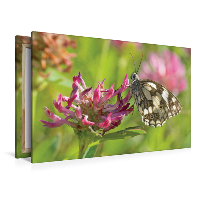 Premium textile canvas Premium textile canvas 120 cm x 80 cm landscape checkerboard butterfly 