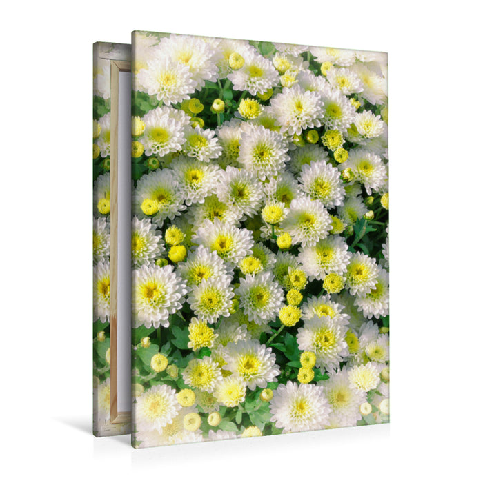 Premium textile canvas Premium textile canvas 80 cm x 120 cm high Asters 