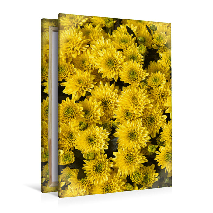 Premium textile canvas Premium textile canvas 80 cm x 120 cm high yellow asters 