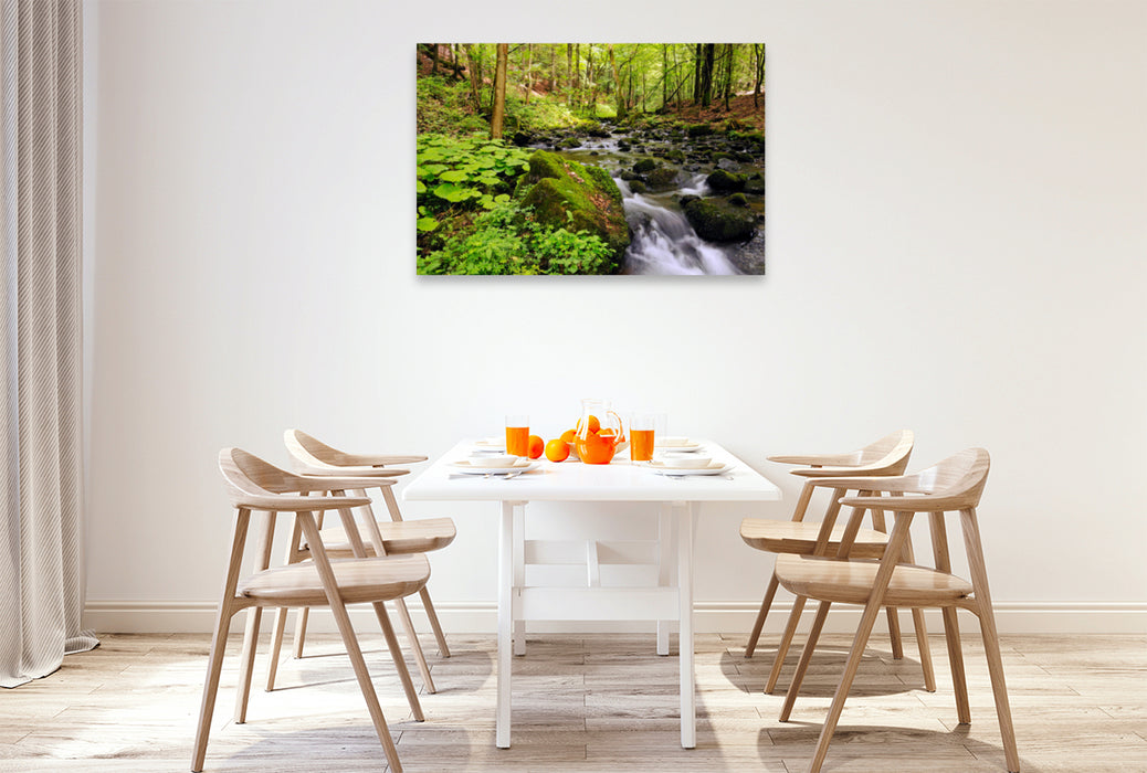 Premium textile canvas Premium textile canvas 120 cm x 80 cm across jungle in the Vessertal, Vessertal-Thuringian Forest biosphere reserve 