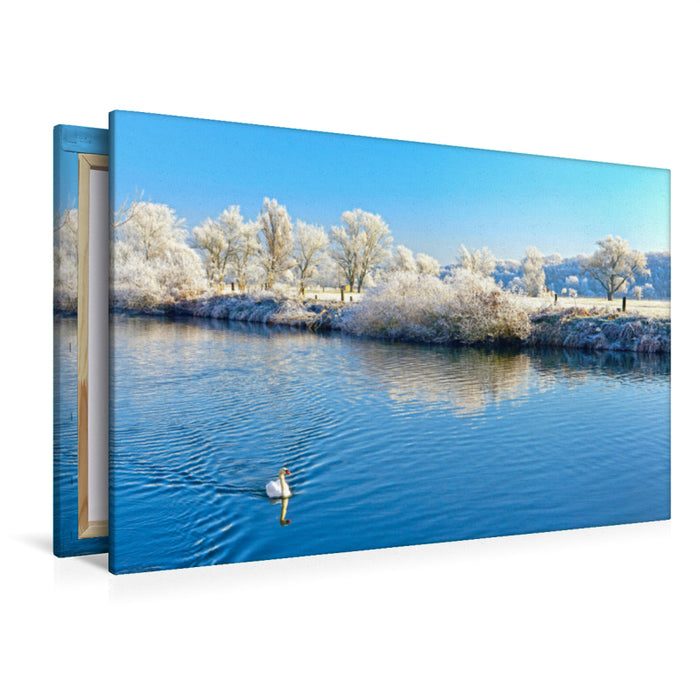Premium textile canvas Premium textile canvas 120 cm x 80 cm landscape Swan on the Saale, Lower Saale Valley Nature Park 