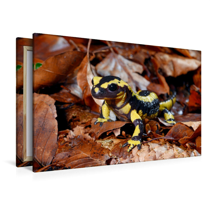 Premium textile canvas Premium textile canvas 120 cm x 80 cm landscape fire salamander 