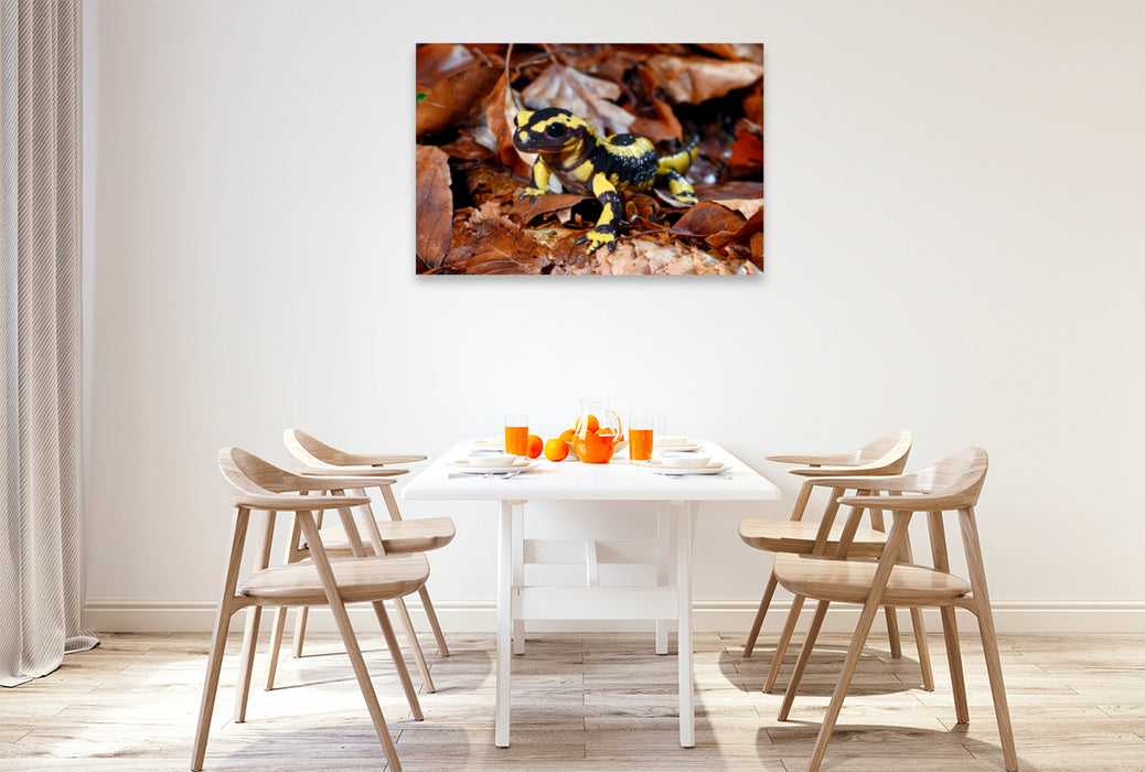 Premium textile canvas Premium textile canvas 120 cm x 80 cm landscape fire salamander 