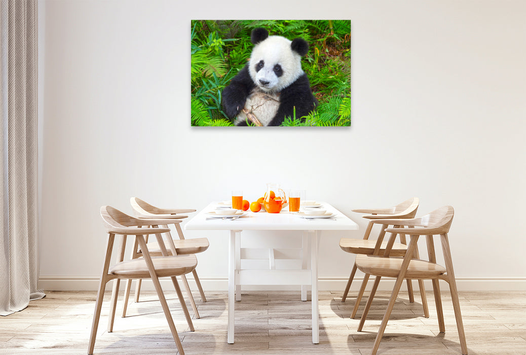 Premium Textil-Leinwand Premium Textil-Leinwand 120 cm x 80 cm quer Ein Motiv aus dem Kalender Der Große Panda Ein kuscheliger Geselle