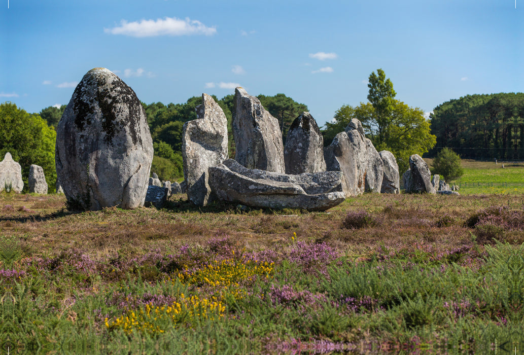 Premium textile canvas Premium textile canvas 120 cm x 80 cm landscape Alignement de Kermario, Carnac 