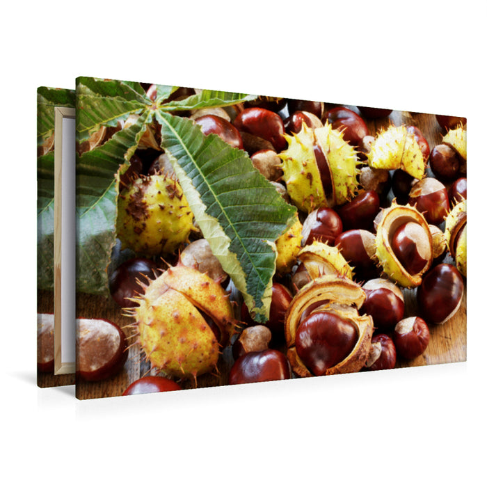 Premium textile canvas Premium textile canvas 120 cm x 80 cm across chestnuts with chestnut leaf 