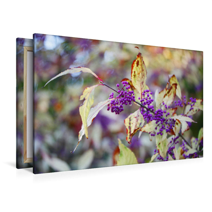 Premium textile canvas Premium textile canvas 120 cm x 80 cm landscape Pearl bush or beautiful fruit 