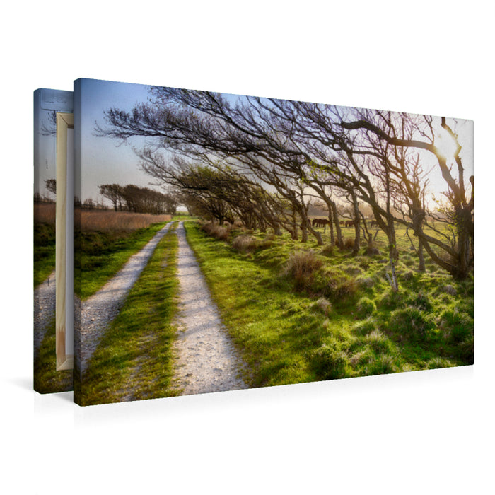 Premium textile canvas Premium textile canvas 90 cm x 60 cm across Hindø - The 70 hectare island in the Stadil Fjord is perfect for walking and relaxing 