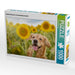 Golden Retriever im Sonnenblumenfeld - CALVENDO Foto-Puzzle - calvendoverlag 29.99