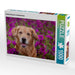 Golden Retriever im Blumenmeer - CALVENDO Foto-Puzzle - calvendoverlag 29.99