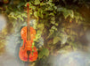 Violine im grünen - CALVENDO Foto-Puzzle - calvendoverlag 39.99