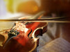 Geige mit Bogen - CALVENDO Foto-Puzzle - calvendoverlag 39.99