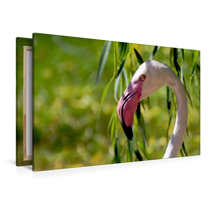 Premium Textil-Leinwand Premium Textil-Leinwand 120 cm x 80 cm quer Rosa Flamingo