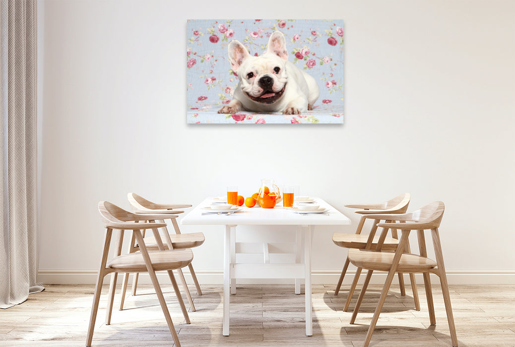 Premium Textil-Leinwand Premium Textil-Leinwand 120 cm x 80 cm quer Französische Bulldogge / French Bulldog