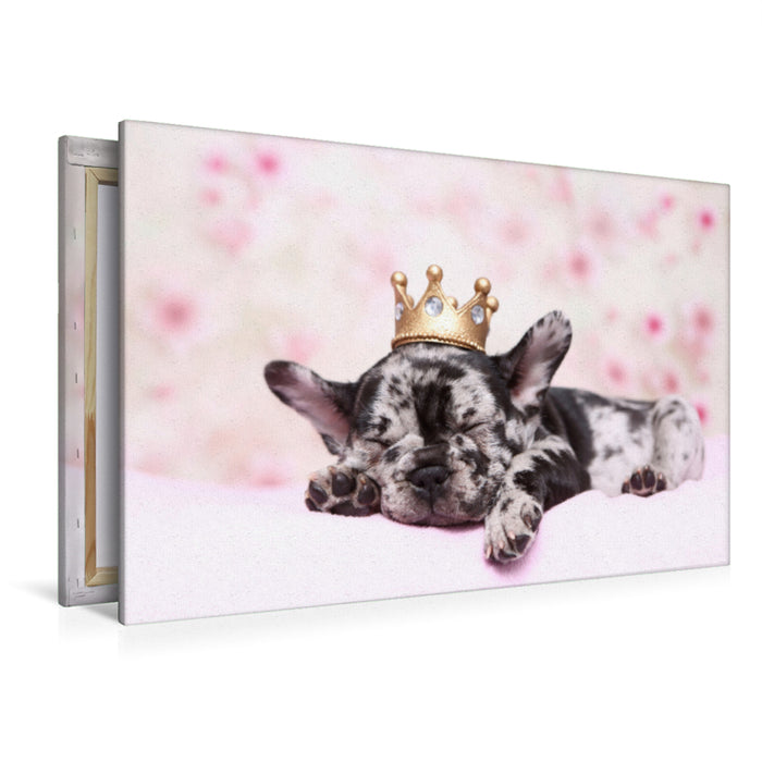 Premium Textil-Leinwand Premium Textil-Leinwand 120 cm x 80 cm quer Französische Bulldogge / French Bulldog