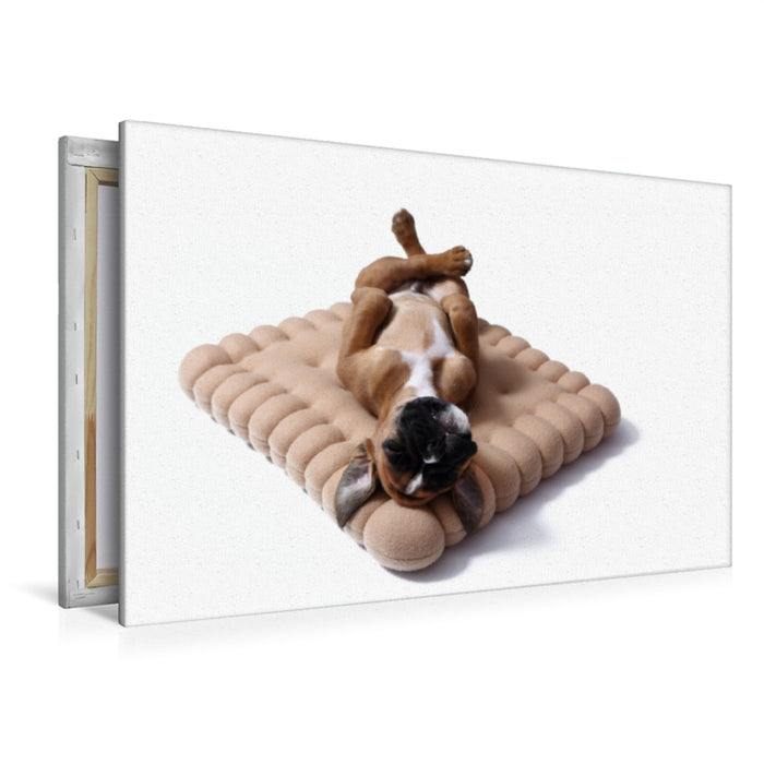 Premium Textil-Leinwand Premium Textil-Leinwand 120 cm x 80 cm quer Deutscher Boxer Welpe / German Boxer Puppy