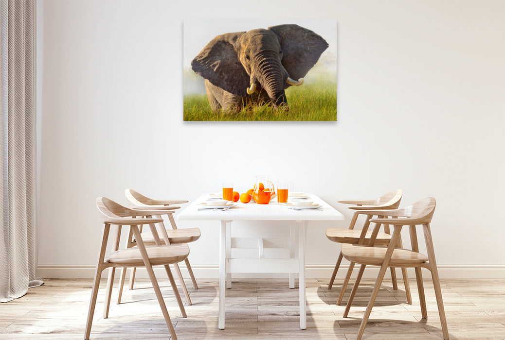 Premium Textil-Leinwand Premium Textil-Leinwand 120 cm x 80 cm quer Elefant im Okawango Delta