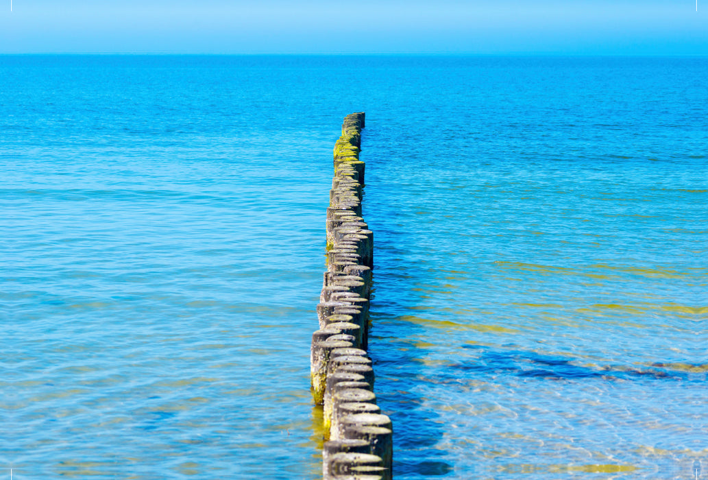 Premium Textil-Leinwand Premium Textil-Leinwand 120 cm x 80 cm quer Buhnen aus Holzstämmen schützen den Strand der Insel Hiddensee vor Erosion und ragen weit in das Wasser der Ostsee hinein, Insel Hiddensee, Ostsee, Mecklenburg-Vorpommern, Deutschland