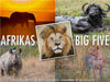 Emotionale Momente: Afrikas Big Five / CH-Version - CALVENDO Foto-Puzzle - calvendoverlag 29.99