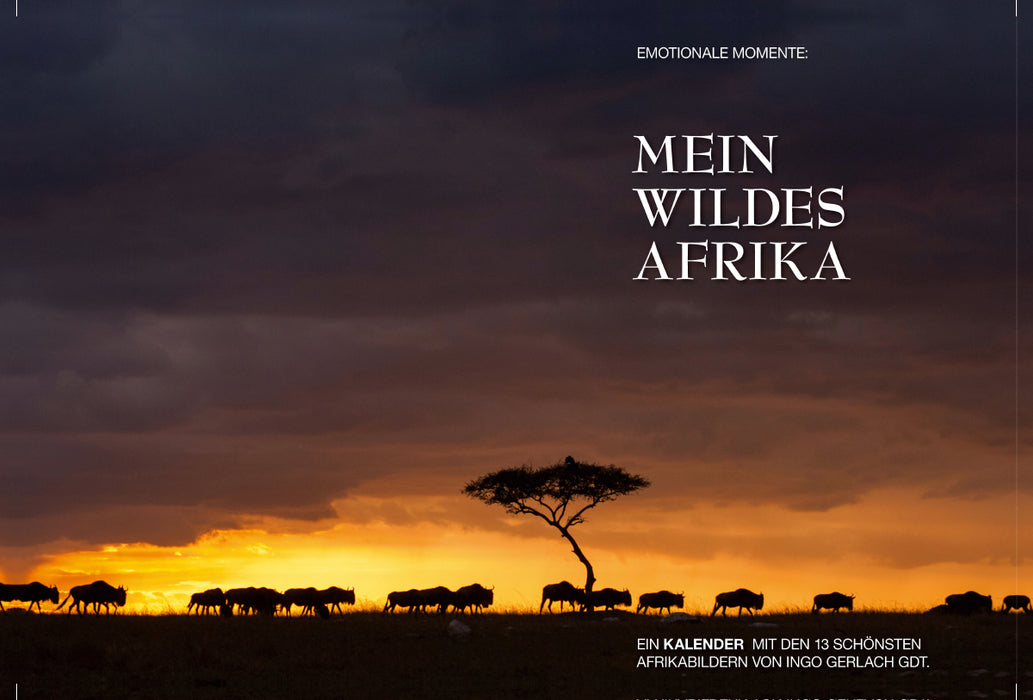 Premium Textil-Leinwand Premium Textil-Leinwand 120 cm x 80 cm quer Ein Motiv aus dem Kalender Emotionale Momente: Mein wildes Afrika